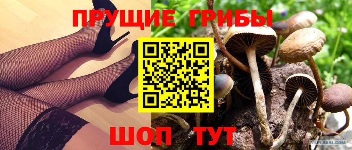 Галлюциногенные грибы GOLDEN TEACHER Боровичи